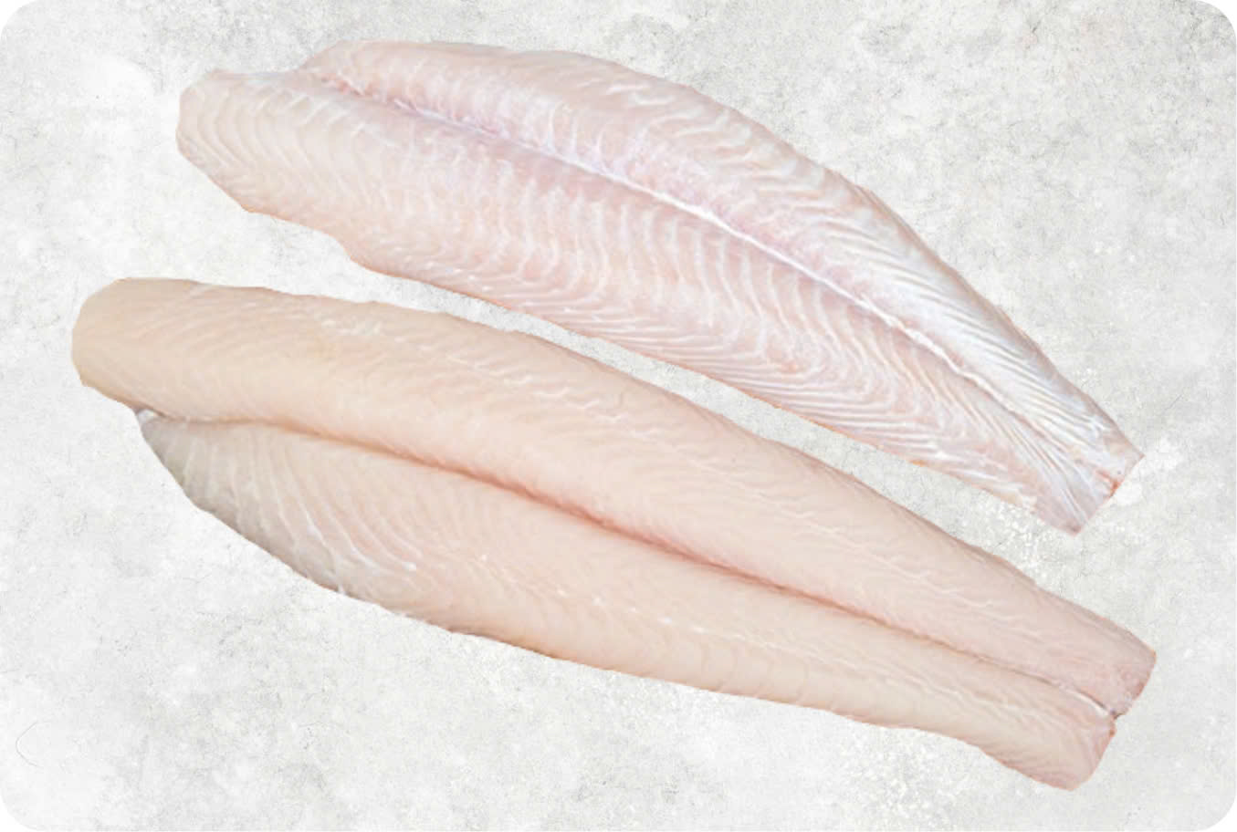 Pangasius fillet